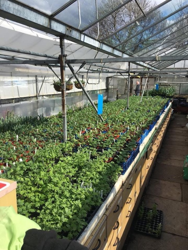 Picturo of the fully built greenhouse with Marcus, Paul and Barry.