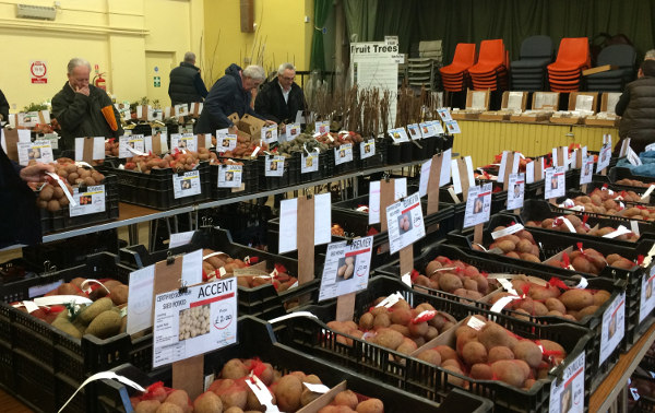 Picture of people deciding what to buy