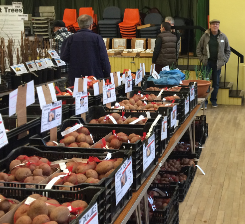 Picture of a potato stall