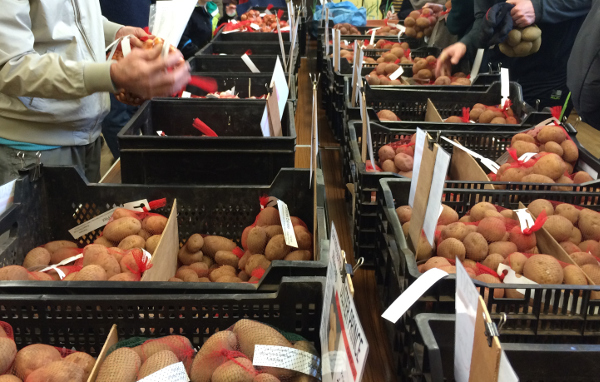 Picture of a potato stall