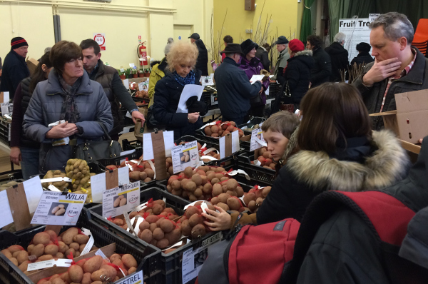 Picture of people viewing the potato stalls