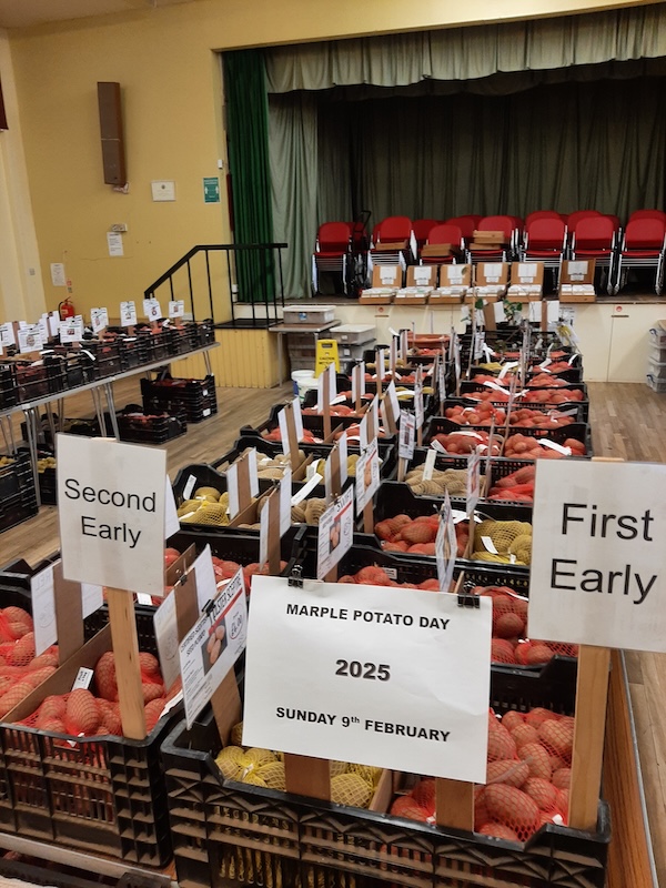 Picture of a potato stall